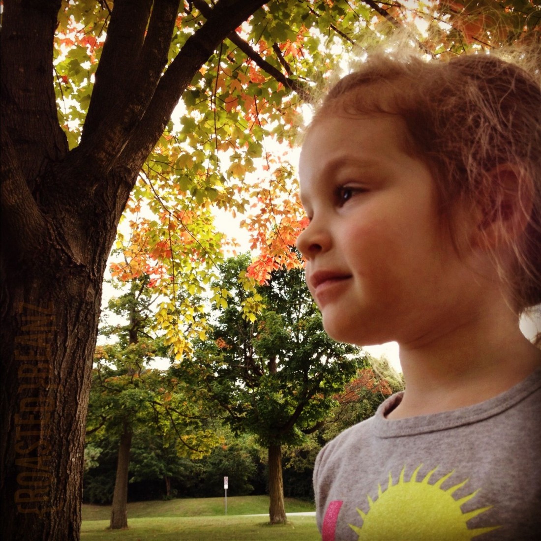 Isabel in the Park {Fall 2012}