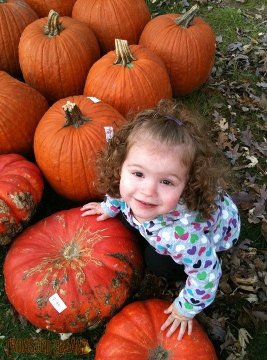 Pumpkin Patch Belle.2010