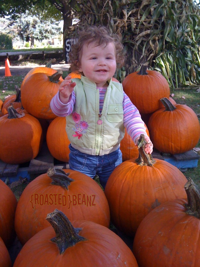 Pumpkin Belle.2009