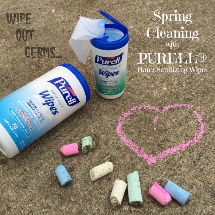 Spring Clean With Purell® © www.roastedbeanz.com #PurellWipes #ad #collectivebias #shop