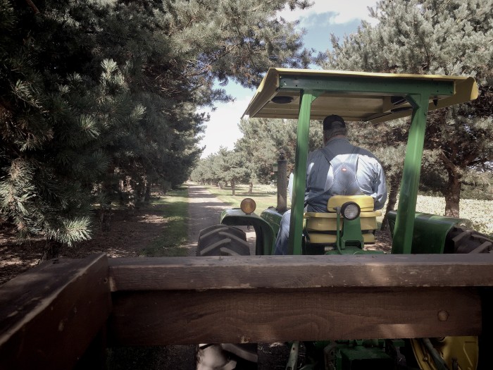 Try Impressa & Laugh About Motherhood Again! © www.roastedbeanz.com #TryImpressa #ad #Linqia