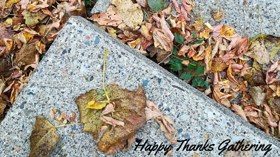 Happy Thanks Gathering Tips To Clean With © www.roastedbeanz.com #HappyThanksGathering #ad #collectivebias #shop