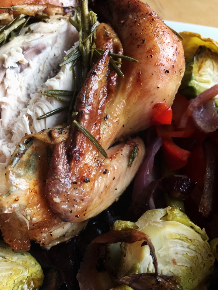 AD: Comforting Resolutions to Warm Up Winter This New Year With Cornish Hens © www.roastedbeanz.com #CornishHenHolidays #ad #CollectiveBias #shop