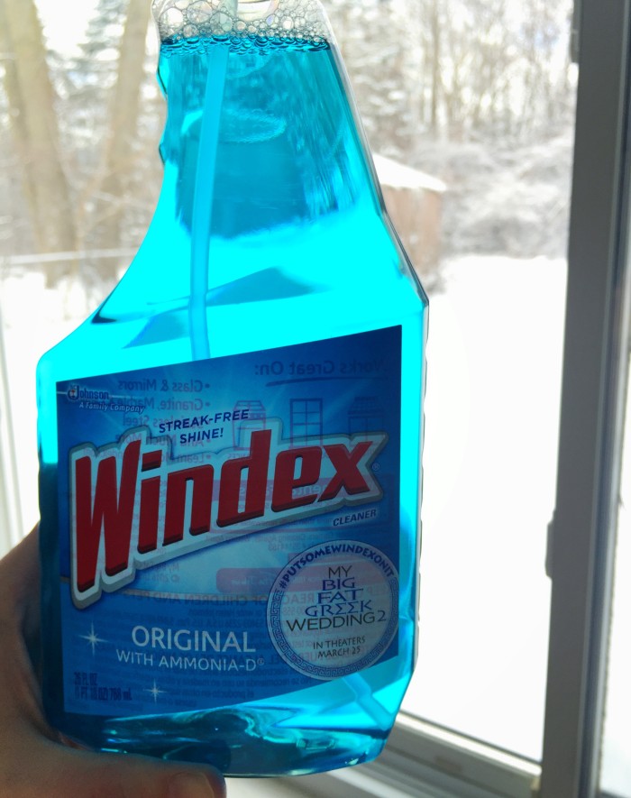 Unique Windex® Cleaning Tips © www.roastedbeanz.com #WindexMovieNight #PutSomeWindexOnIt [AD] #CollectiveBias #shop